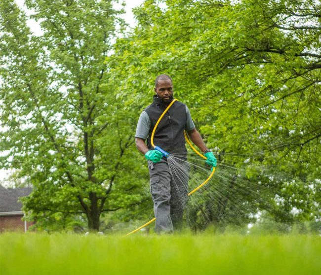 A man spraying a liquid over a lawn using a hose.