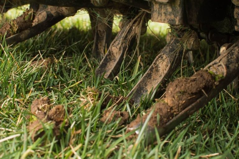 liquid aeration or core aeration? image of core aeration