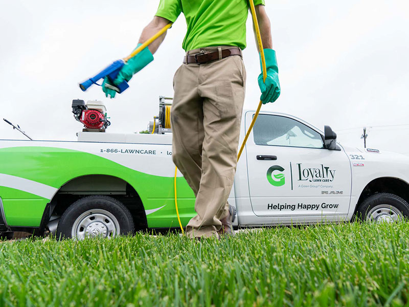 A man spraying the ground with a hose connected to the back of a Loyalty Lawn Care truck.