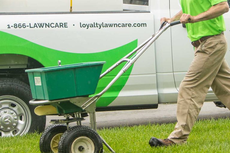 seeding-square Man pushing a seed wheelbarrow over a grassy lawn.