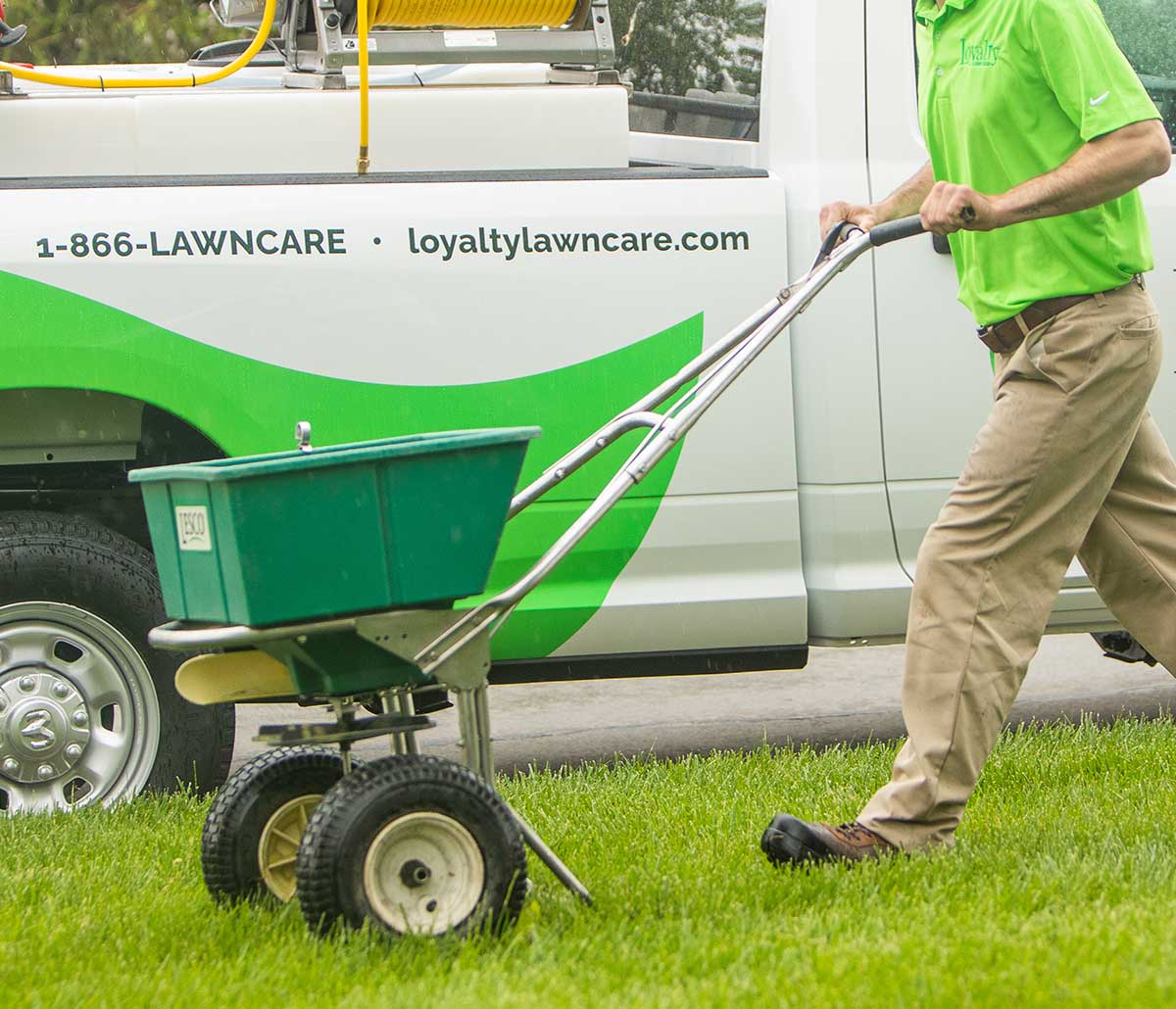 seeding-square Man pushing a seed wheelbarrow over a grassy lawn.