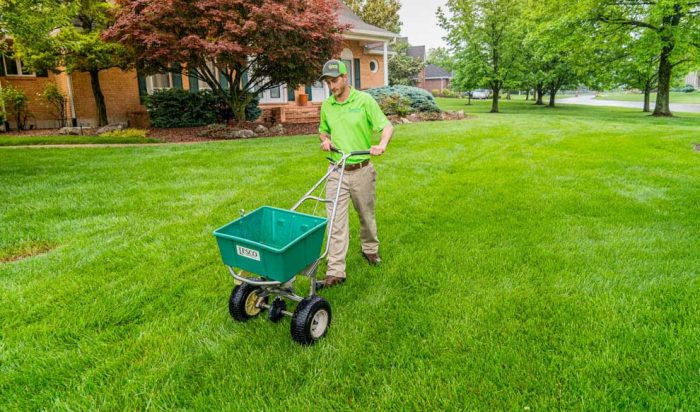 lawn-care-missouri Man pushing a seedspreader machine over a grassy lawn.