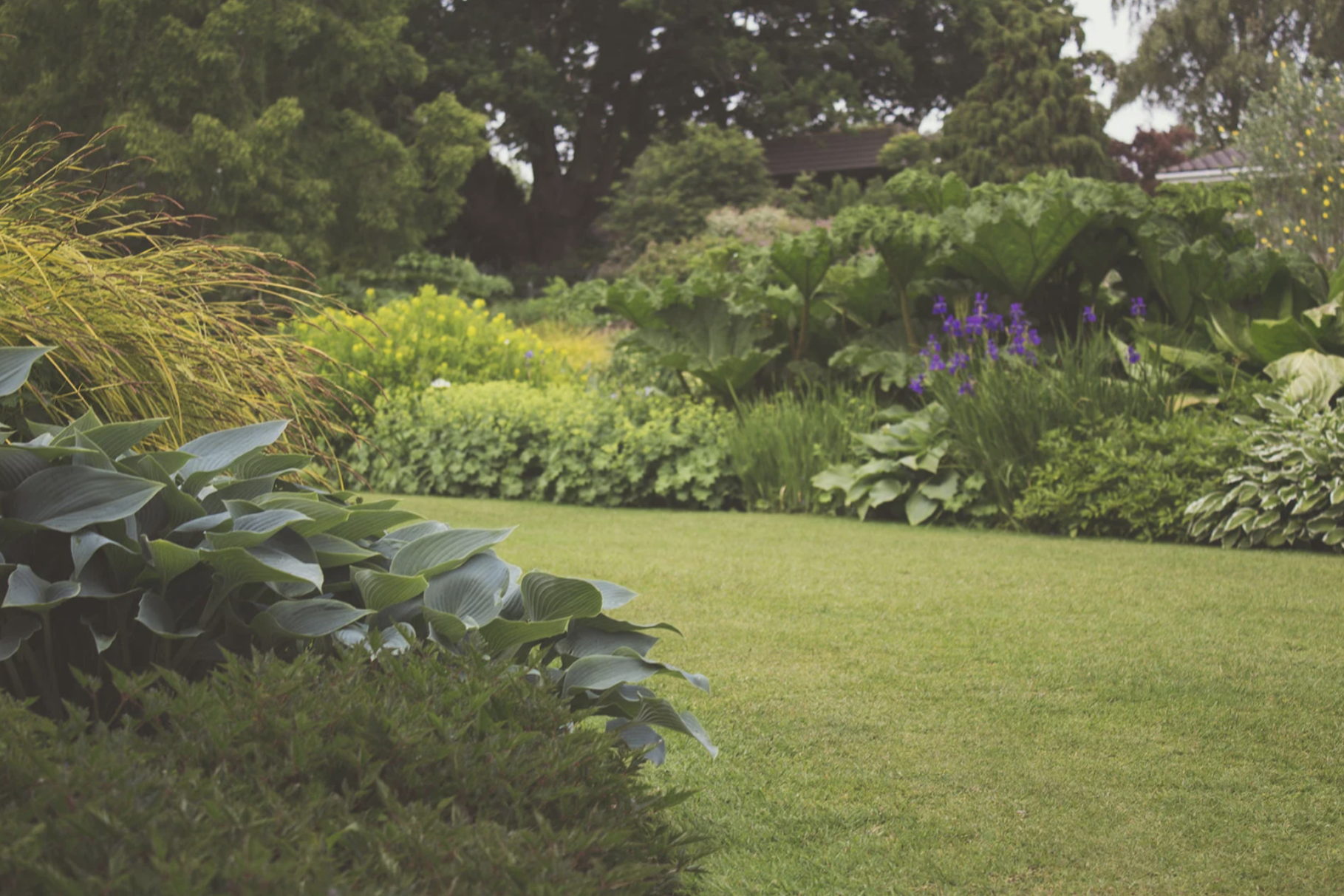 outdoor mosquito control, backyard landscape plants and shrubs