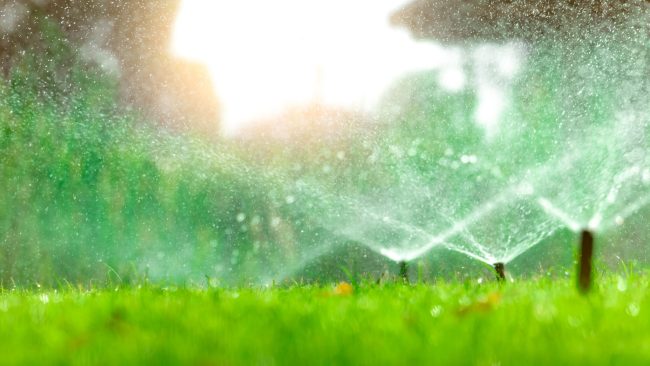 lawn sprinklers, lawn watering schedule