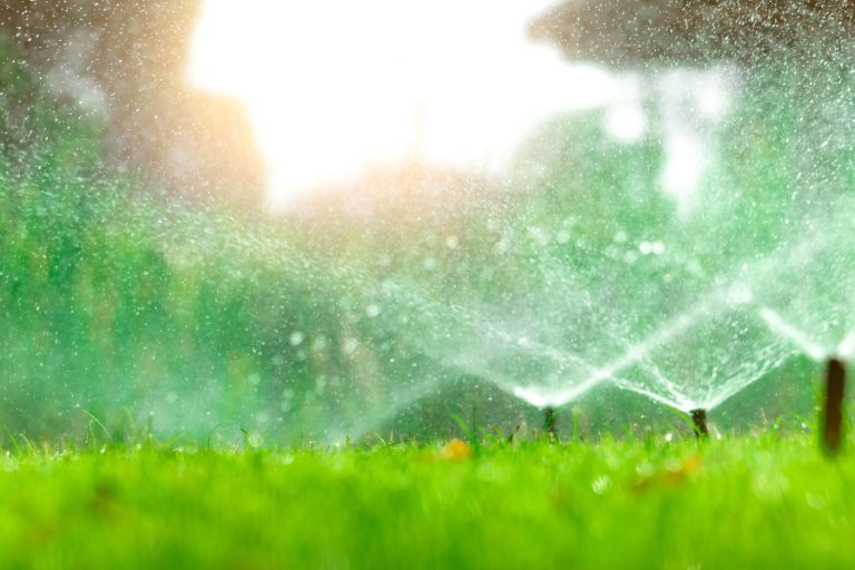 lawn sprinklers, lawn watering schedule